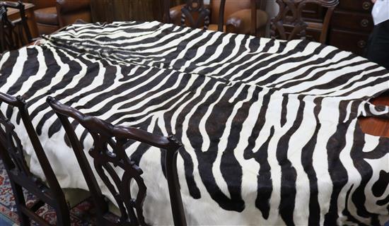 A dyed cow hide 200 x 190cm approx.